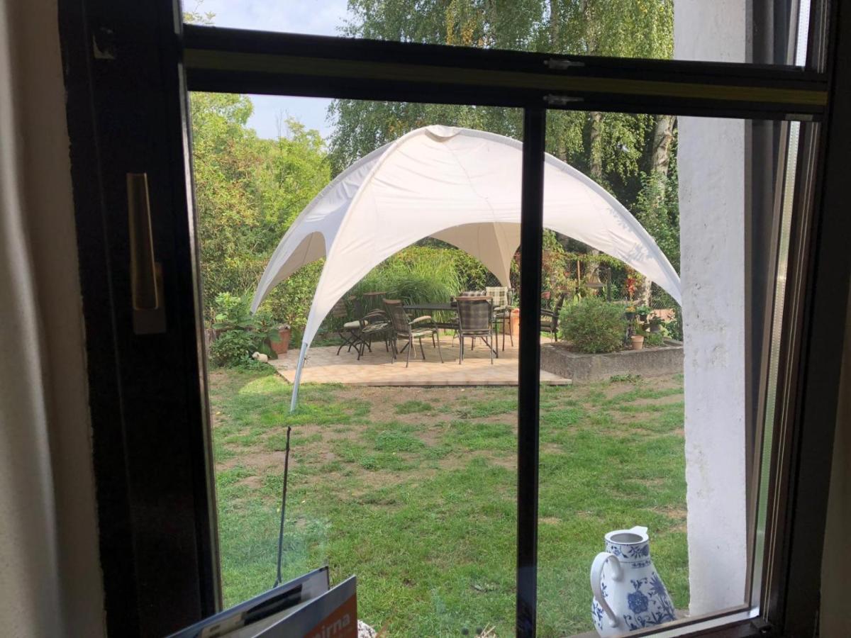 Ferienwohnung Schwemmer Pirna Eksteriør billede